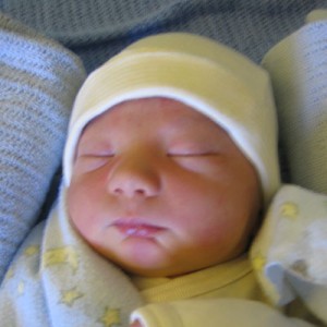 Rain - 1 day old