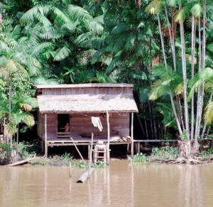 Amazon home, Brazil