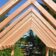Cabin Construction