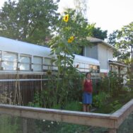 Shelter